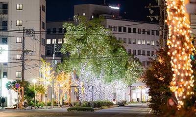 KEYAKI Light Parade -光がつなぐ街の未来-