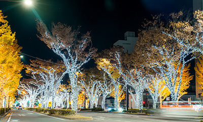 KEYAKI Light Parade -光がつなぐ街の未来-