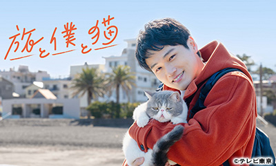 旅と僕と猫